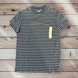 Mens Shirt Goodfellow & Co Blue & White Striped TShirt New
